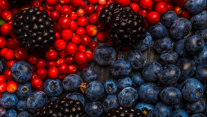 Pure Resveratrol